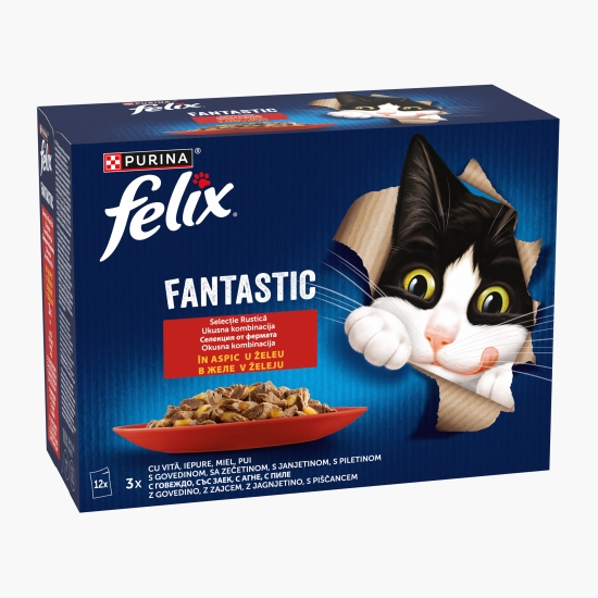 Felix Hrană umedă pentru pisici, 12x85g, cu vită, iepure, miel, pui în aspic