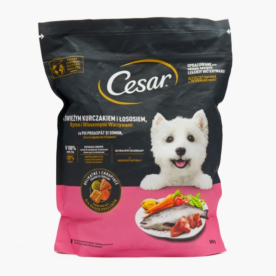 Cesar Hrană uscată pentru câini adulți de talie mică 800g, cu pui și somon