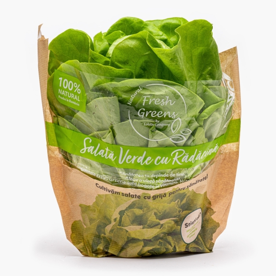 Terra Verde Salată verde cu rădăcină, România, 1 buc