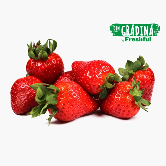 Din Grădină by Freshful Căpșune România 500g