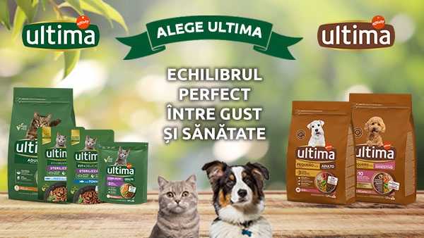 Ofertă specială: Ultima