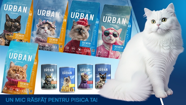 Ofertă specială: Urban