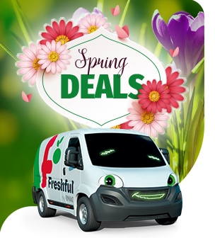 Spring Deals