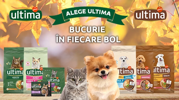 Ofertă specială: ultima
