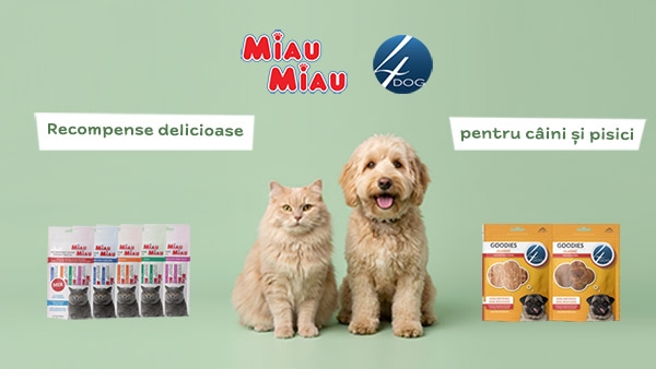 Ofertă specială: Miau Miau și 4Dog
