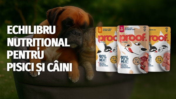 Ofertă specială: Proof