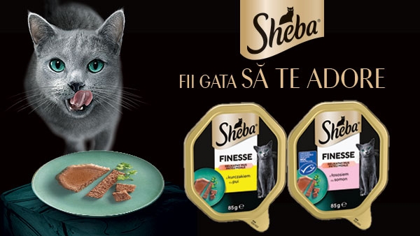 Ofertă specială: Sheba