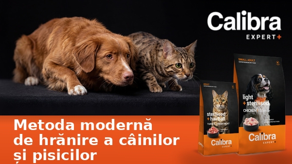 Ofertă specială: Calibra