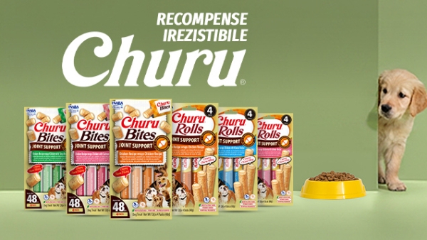 Ofertă specială: Churu