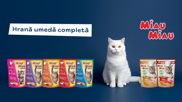 Ofertă specială: Miau Miau