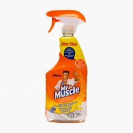 Dezinfectant pentru bucătărie 750ml