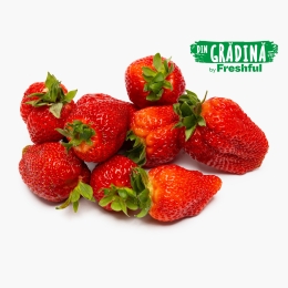 Căpșune Gruberries România 250g