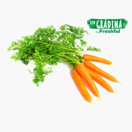 Morcovi România 1 legătură