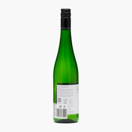 Vin petiant eco alb sec, 10.5%, 0.75l