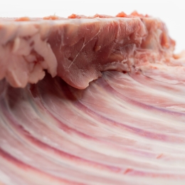 Sfert anterior miel 2.8Kg