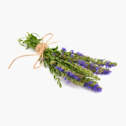 Isop eco 30g Bioferma Niculești