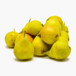 Pere Coscia baby 1kg