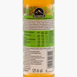 Ceai de la munte mentă, fără zahăr adăugat 500ml