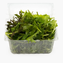 Salată Mizuna mix ECO Ferma Sarei România minim 120g