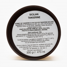 Sorbet de tangerine 300g 