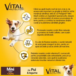 Hrană uscată pentru câini adulți de talie mică, 400g, cu pui și legume Vital Protection