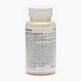 Quercetin 500mg 90 capsule