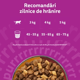 Hrană uscată pentru pisici adulte, 1.4kg, cu miel și curcan