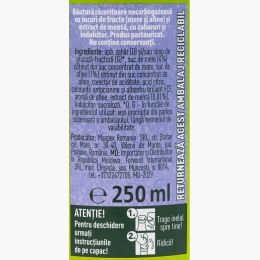 Băutură necarbogazoasă măr, afine, mentă 250ml