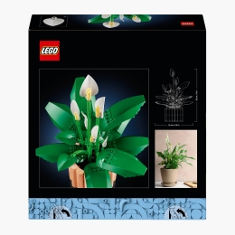 Crinul păcii, 11504 Botanicals, 474 piese, +18 ani