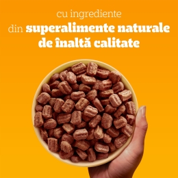 Hrană uscată pentru câini adulți, 3kg, Light cu pasăre și legume 