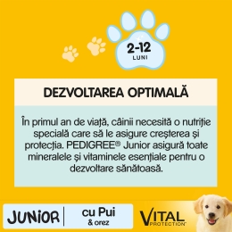 Hrană uscată pentru câini Junior de talie medie, 15kg, cu pui și orez