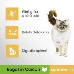 Hrană uscată pentru pisici sensibile adulte, 7kg, de curcan