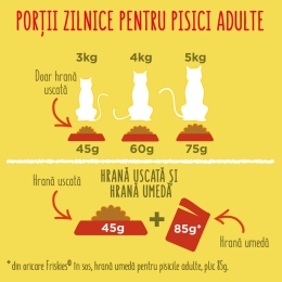Hrană uscată pentru pisici adult, 10kg, cu vită, pui și legume 