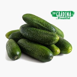 Castraveți Cornichon de salată, România 1kg