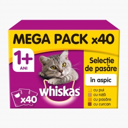Hrană umedă pentru pisici adulte, 40x100g, cu carne de păsare în aspic