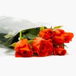 Buchet trandafiri, 5 fire, diverse culori