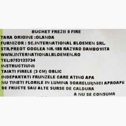 Buchet frezii, 5 fire, diverse culori