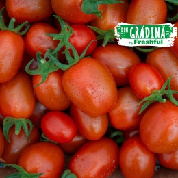 Roșii cherry prunișoare eco România 500g
