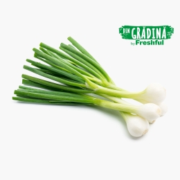 Ceapă verde eco, România (Bioferma Niculești)