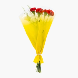 Buchet mixt cu 5 garoafe