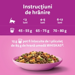 Hrană uscată pentru pisici junior, 14kg, cu pui 