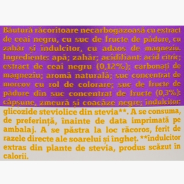 Ceai rece cu fructe de pădure 1l