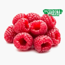 Zmeură România 250g