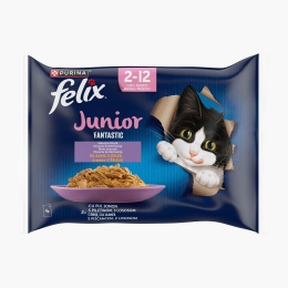 Hrană umedă pentru pisici junior, 4x85g, Fantastic cu pui și somon în aspic