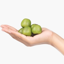 Kiwi Berry mini eco 125g