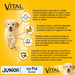 Hrană uscată pentru câini Junior de talie medie, 15kg, cu pui și orez