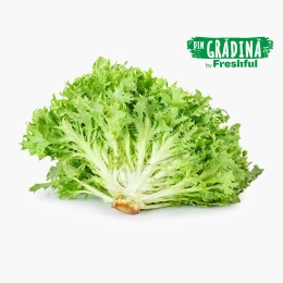 Salată Frisie eco 1 bucată