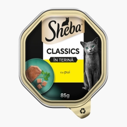Hrană umedă pentru pisici adulte, terină cu pui Classics, 85g