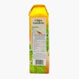 Limonadă ghimbir 1l