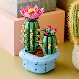 Cactus înflorit, 11509 Botanicals, 482 piese, +9 ani